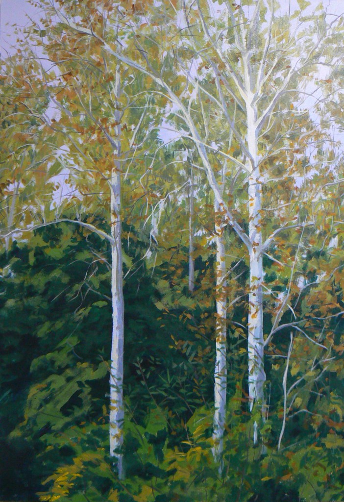 WhiteTrees-702x1024